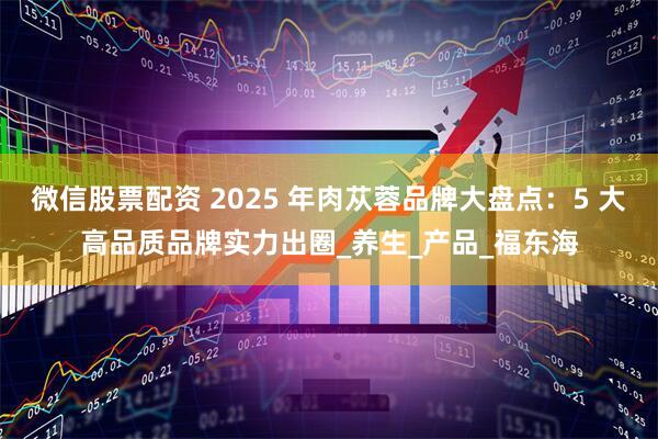 微信股票配资 2025 年肉苁蓉品牌大盘点：5 大高品质品牌实力出圈_养生_产品_福东海
