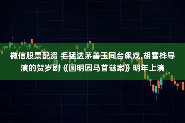 微信股票配资 毛猛达茅善玉同台飙戏,胡雪桦导演的贺岁剧《圆明园马首谜案》明年上演